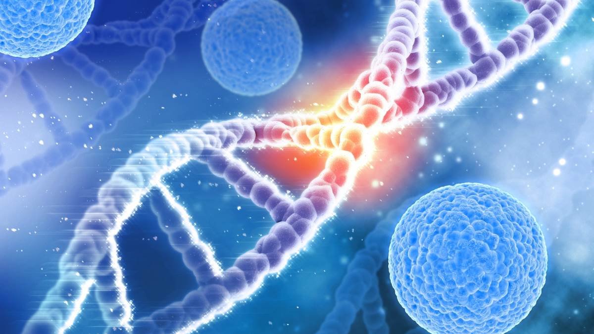 Leukaemia Symptoms: शरीर में दिख रहे इन लक्षणों को न करें नजरअंदाज, जो करते हैं ल्यूकेमिया की ओर इशारा